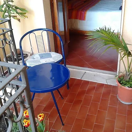 The Dolphins Guest house