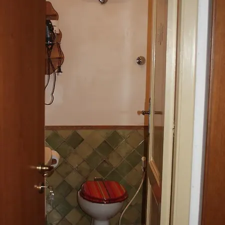 The Dolphins Taormina